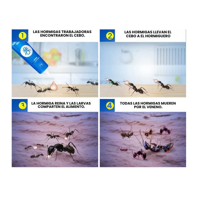 CHAK GEL® - EXTERMINA LAS CUCARACHAS CON UNA SOLA GOTA🪳