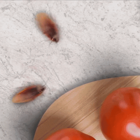 🛡 Repelente Ultrasónico - Pago Contra Entrega