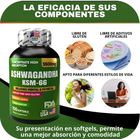 Ashwagandha KSM-66® – Antiestrés Natural, Energía y Sueño Profundo