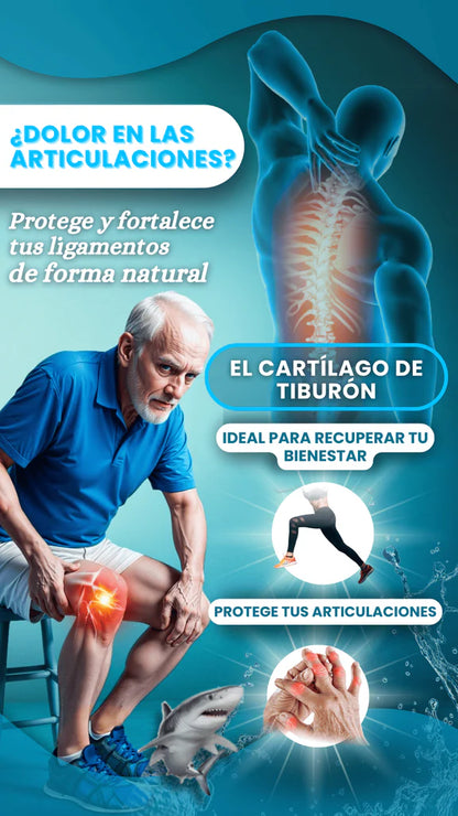 Cartilago de Tiburon