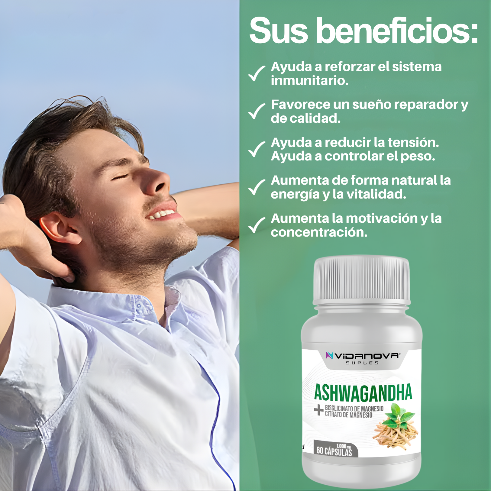 ZenVital™ — Mente en calma. Sueño profundo. Energía real.