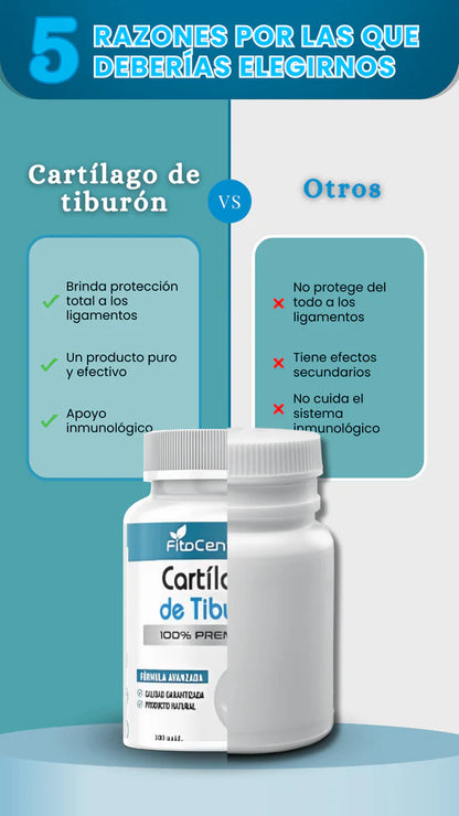 Cartilago de Tiburon