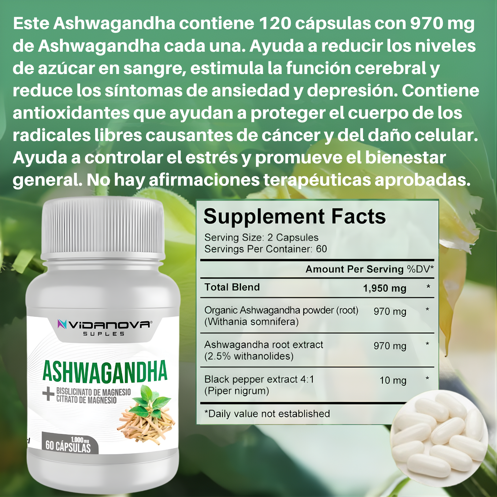 ZenVital™ — Mente en calma. Sueño profundo. Energía real.