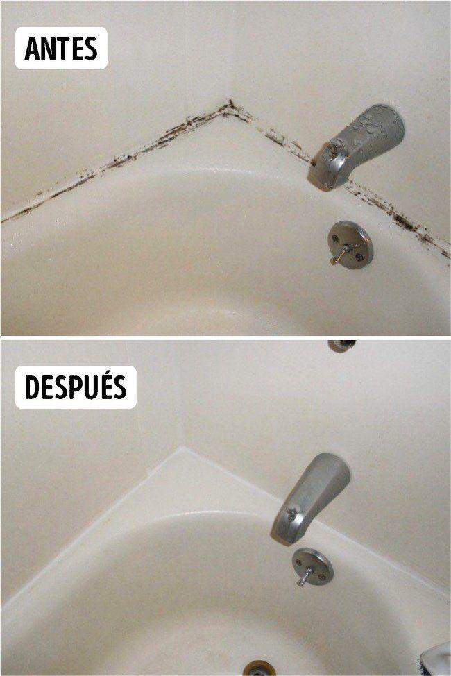 EcoLimpio – Limpieza Natural para Todo