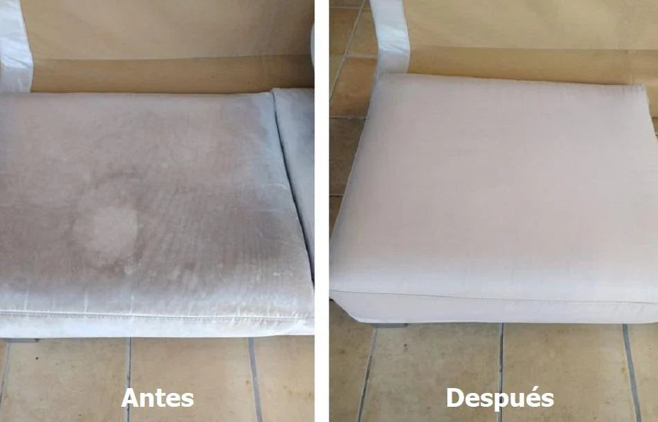 EcoLimpio – Limpieza Natural para Todo
