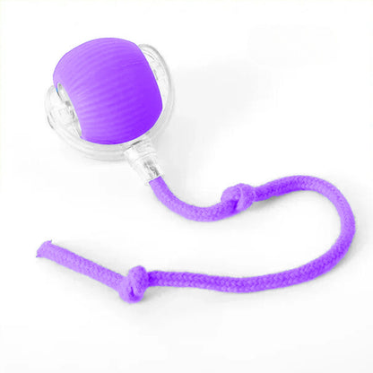 PELOTAVIVA™ - Pelota de aventura interactiva para tus perritos