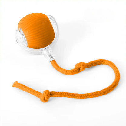 PELOTAVIVA™ - Pelota de aventura interactiva para tus perritos