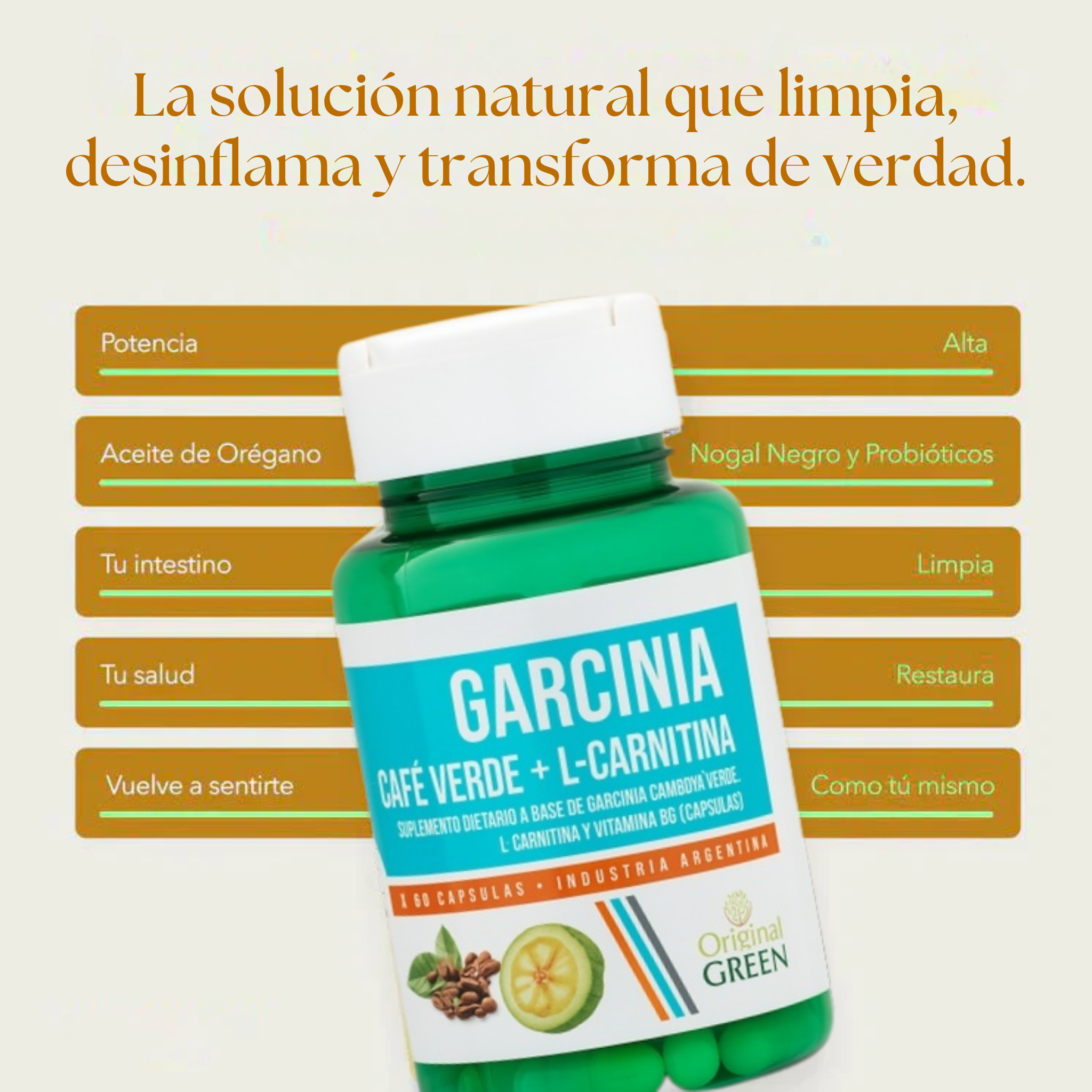 Garcinia Café Verde + L-Carnitina – Desintoxica, Reduce Hinchazón y Acelera la Quema de Grasa
