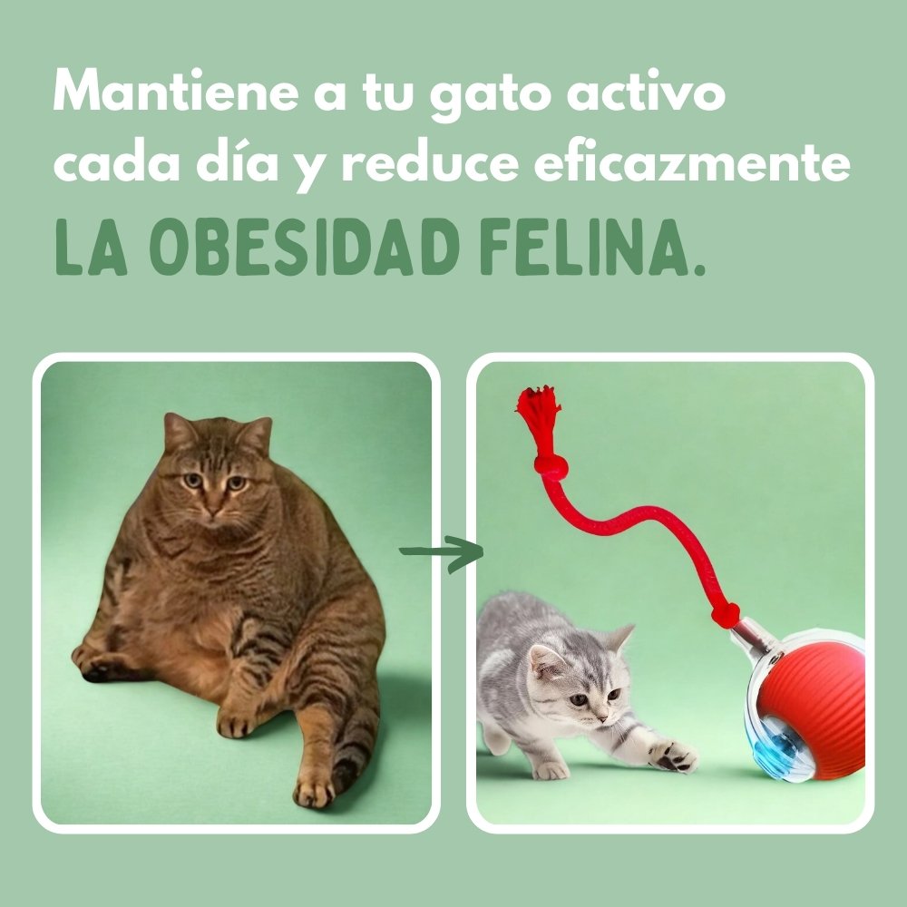 RUEDAVIVA™ – Pelota de aventura interactiva para tus gatos