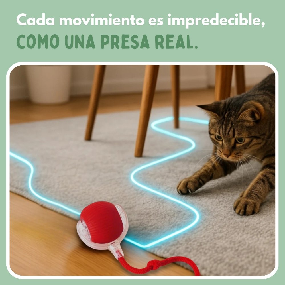 RUEDAVIVA™ – Pelota de aventura interactiva para tus gatos