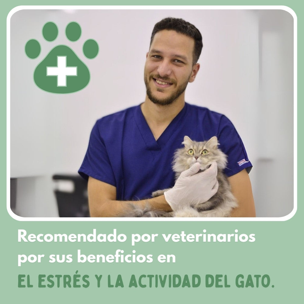 RUEDAVIVA™ – Pelota de aventura interactiva para tus gatos