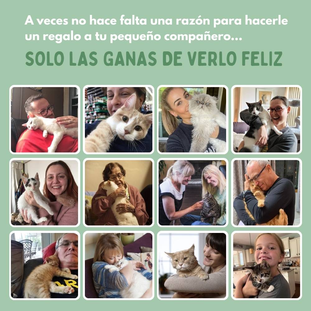 RUEDAVIVA™ – Pelota de aventura interactiva para tus gatos