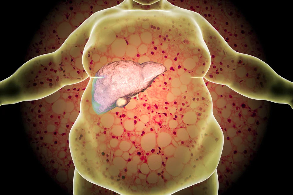 Detoxol Acua – Gotas Naturales para Desintoxicación y Equilibrio Intestinal