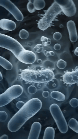 Clean Start Desintoxicación Digestiva de 15 Días