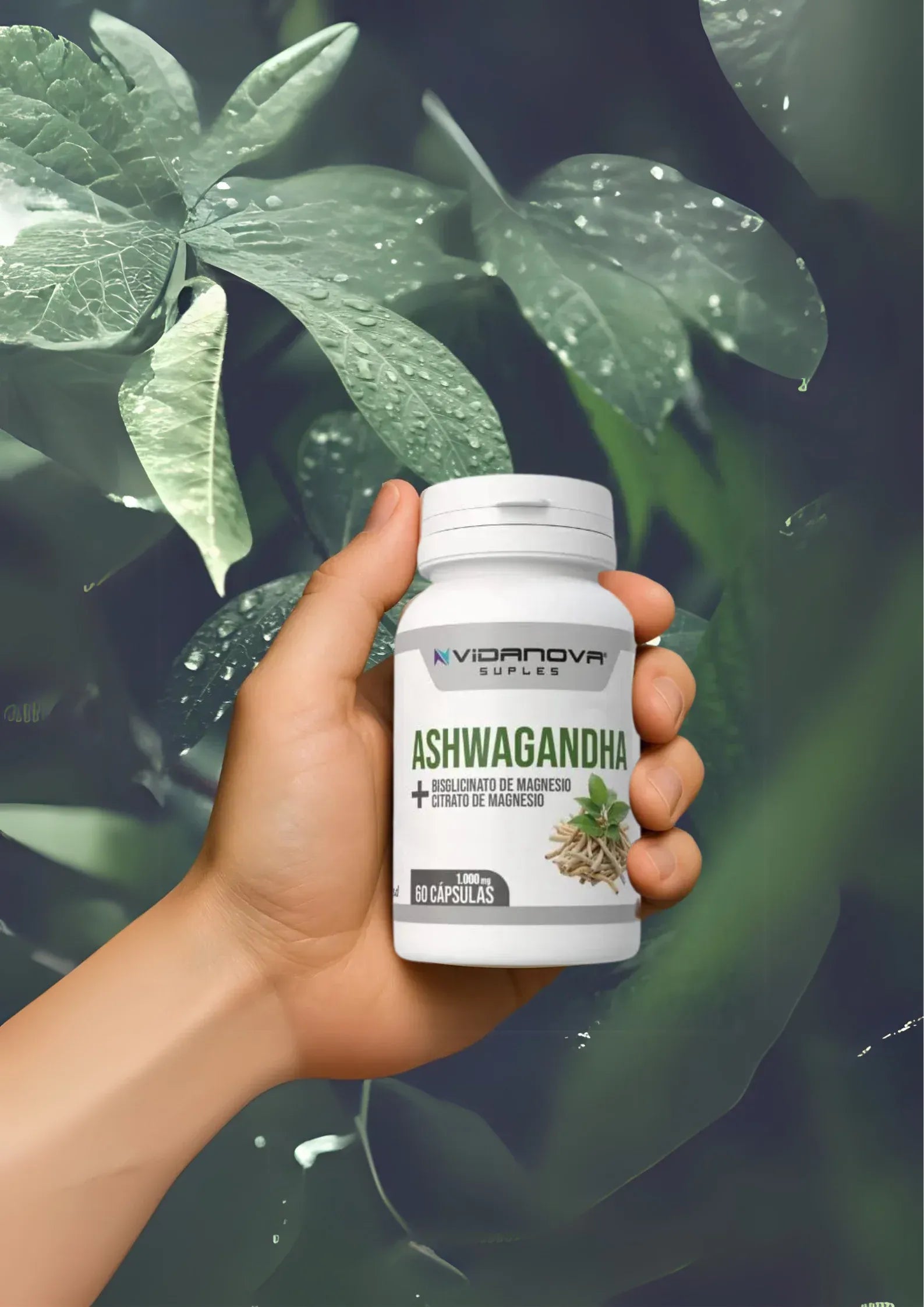 🌿 ASHWAGANDHA + MAGNESIO™ ORIGINAL 🔥 – Relájate, Duerme Mejor y Recupera tu Energía
