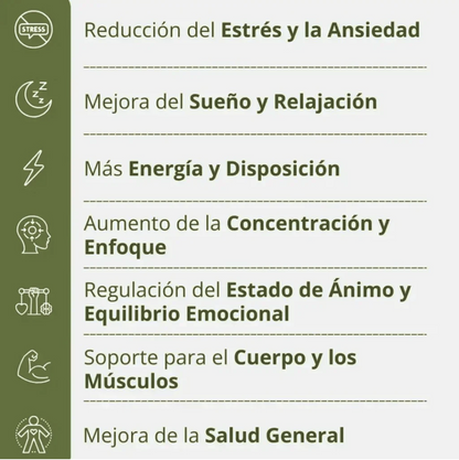 Ashwagandha + Magnesium 1000mg (60 cápsulas) – Defensa, Equilibrio y Energía Natural